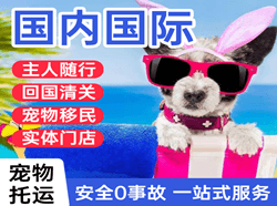 信阳明港机场托运国际宠物托运 【国